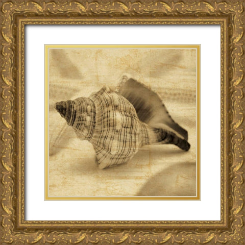 Conch Gold Ornate Wood Framed Art Print with Double Matting by Seba, John