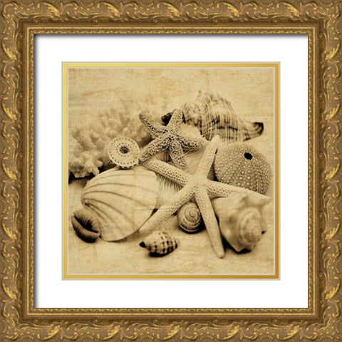 The Collection II Gold Ornate Wood Framed Art Print with Double Matting by Seba, John