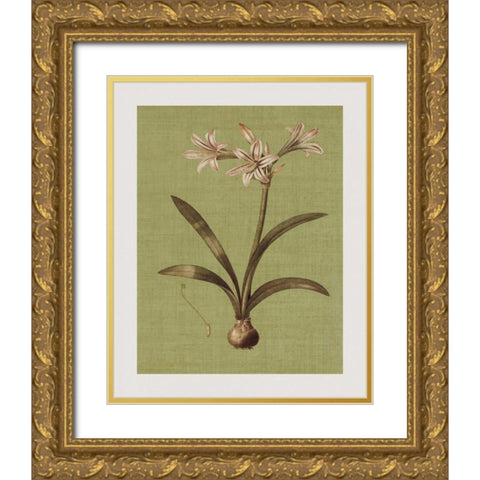Botanica Verde I Gold Ornate Wood Framed Art Print with Double Matting by Seba, John