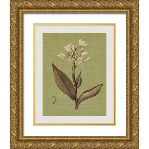 Botanica Verde II Gold Ornate Wood Framed Art Print with Double Matting by Seba, John