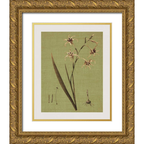 Botanica Verde IV Gold Ornate Wood Framed Art Print with Double Matting by Seba, John