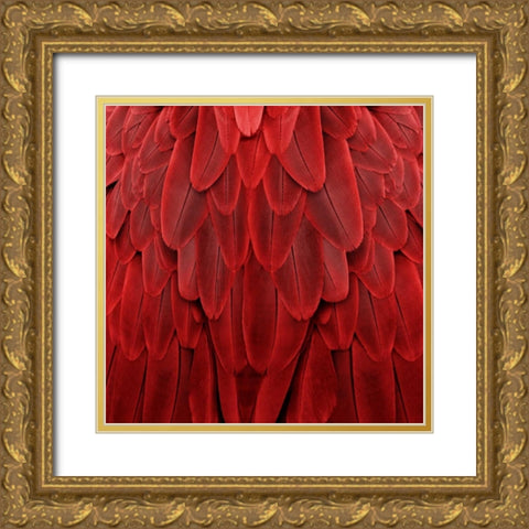 Feathered Friend - Red Gold Ornate Wood Framed Art Print with Double Matting by Bosco, Julia