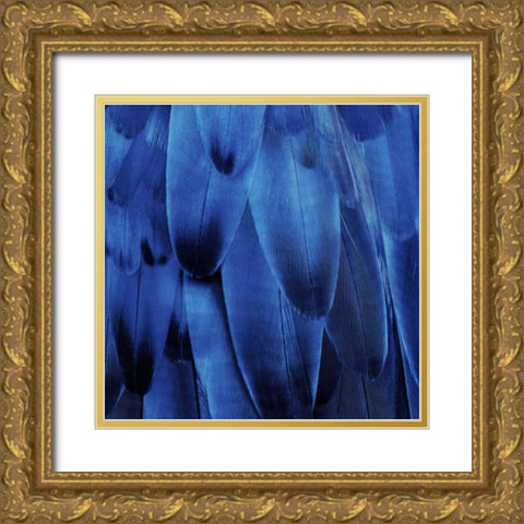 Feathered Friend - Indigo Gold Ornate Wood Framed Art Print with Double Matting by Bosco, Julia