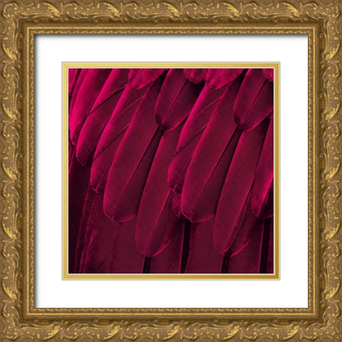 Feathered Friend - Magenta Gold Ornate Wood Framed Art Print with Double Matting by Bosco, Julia