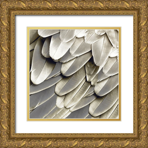 Feathered Friend - Pearl III Gold Ornate Wood Framed Art Print with Double Matting by Bosco, Julia