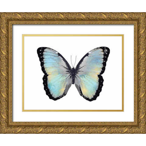 Blue Hue Butterfly Gold Ornate Wood Framed Art Print with Double Matting by Bosco, Julia