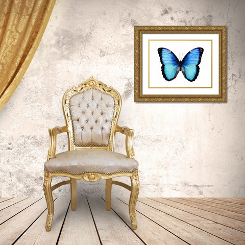 Vibrant Butterfly II Gold Ornate Wood Framed Art Print with Double Matting by Bosco, Julia