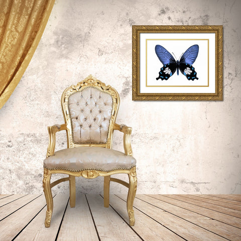 Vibrant Butterfly III Gold Ornate Wood Framed Art Print with Double Matting by Bosco, Julia