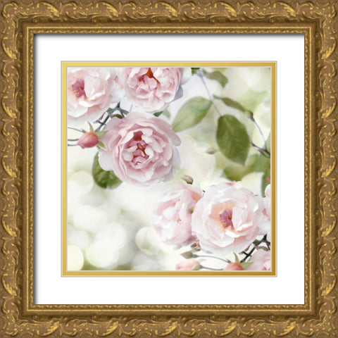 Pink Rose Garden II Gold Ornate Wood Framed Art Print with Double Matting by Lane, Joanna