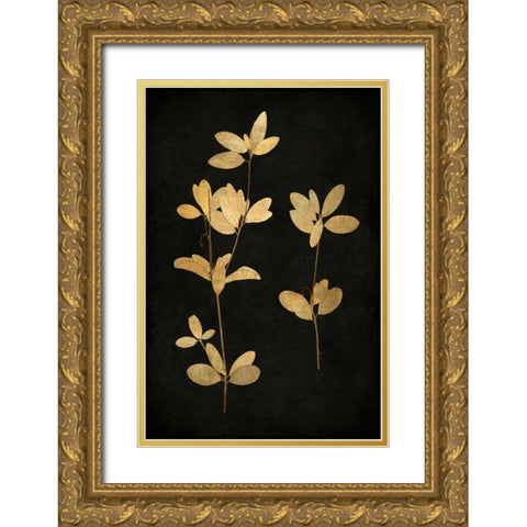 Golden Nature IV Gold Ornate Wood Framed Art Print with Double Matting by Bennett, Kate
