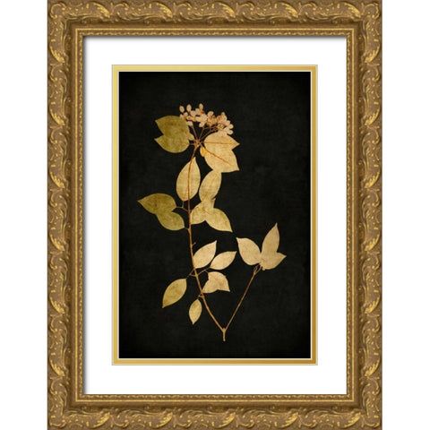 Golden Nature VI Gold Ornate Wood Framed Art Print with Double Matting by Bennett, Kate