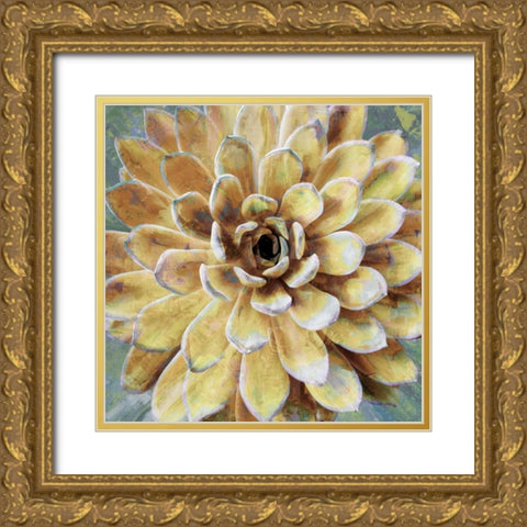 Succulent II Gold Ornate Wood Framed Art Print with Double Matting by Benson, Lindsay