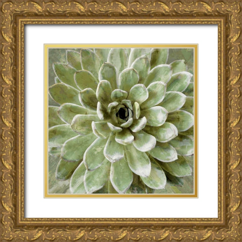 Succulent Verde II Gold Ornate Wood Framed Art Print with Double Matting by Benson, Lindsay