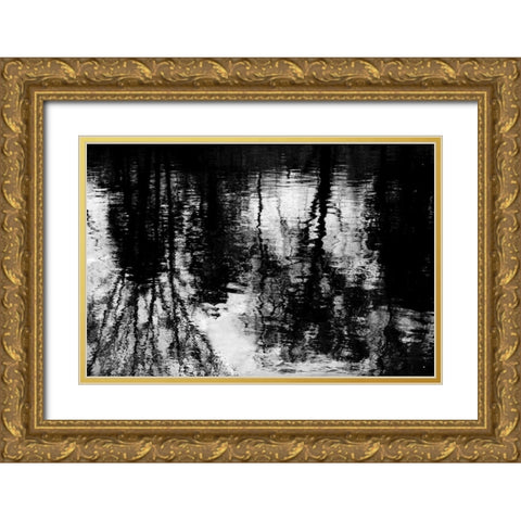 Reflecting Gold Ornate Wood Framed Art Print with Double Matting by Barrett, Michael