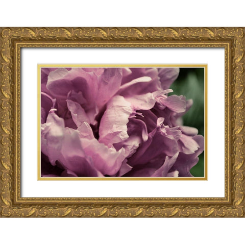 Pink Peony In Morning  Gold Ornate Wood Framed Art Print with Double Matting by Calkins, Michelle