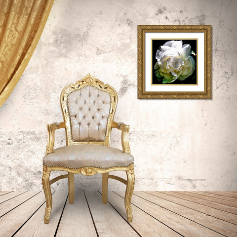 Peony In Morning Sun  Gold Ornate Wood Framed Art Print with Double Matting by Calkins, Michelle