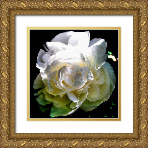 Peony In Morning Sun  Gold Ornate Wood Framed Art Print with Double Matting by Calkins, Michelle