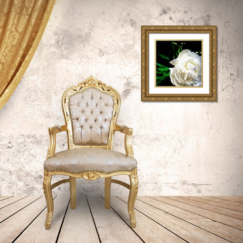 White Peony  Gold Ornate Wood Framed Art Print with Double Matting by Calkins, Michelle
