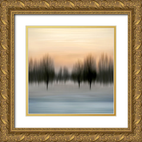 Early Morning V Gold Ornate Wood Framed Art Print with Double Matting by Clark, Madeline