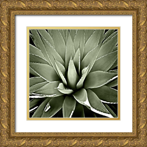Green Succulent III Gold Ornate Wood Framed Art Print with Double Matting by Jensen, Mia