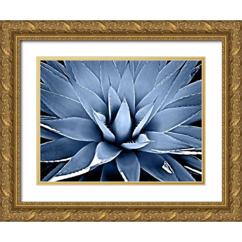 Succulent Indigo III Gold Ornate Wood Framed Art Print with Double Matting by Jensen, Mia