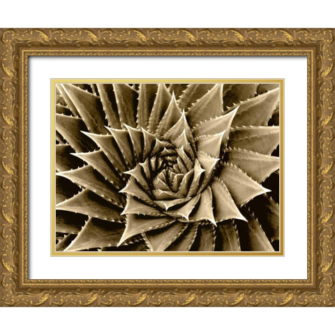 Succulent Taupe I Gold Ornate Wood Framed Art Print with Double Matting by Jensen, Mia