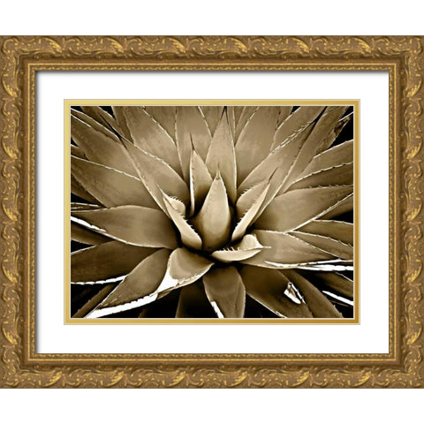 Succulent Taupe III Gold Ornate Wood Framed Art Print with Double Matting by Jensen, Mia