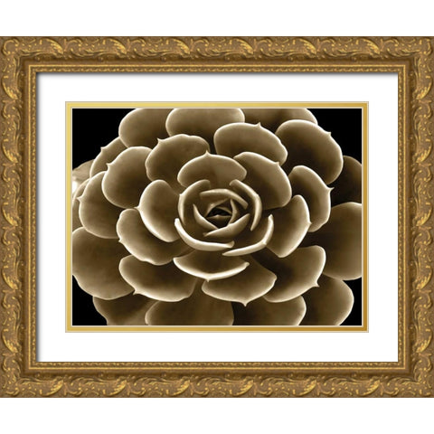 Succulent Taupe IV Gold Ornate Wood Framed Art Print with Double Matting by Jensen, Mia