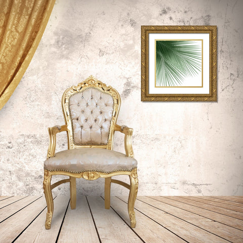 Palm Green VI Gold Ornate Wood Framed Art Print with Double Matting by Jensen, Mia