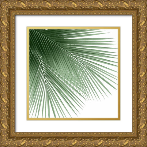 Palm Green VI Gold Ornate Wood Framed Art Print with Double Matting by Jensen, Mia