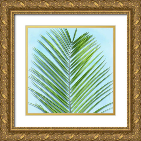 Palm on Blue V Gold Ornate Wood Framed Art Print with Double Matting by Jensen, Mia