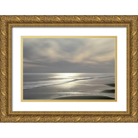 Silver Light Gold Ornate Wood Framed Art Print with Double Matting by Olsen, Maggie