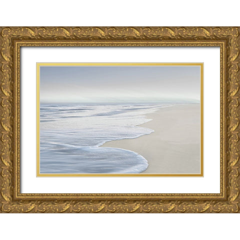 High Tide V Gold Ornate Wood Framed Art Print with Double Matting by Olsen, Maggie