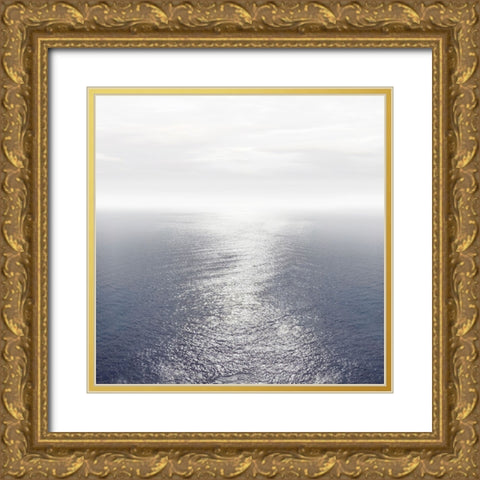 Ocean Light Indigo I Gold Ornate Wood Framed Art Print with Double Matting by Olsen, Maggie