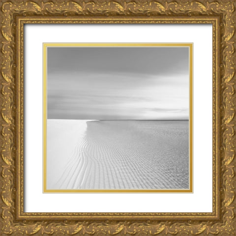 Waters Edge III Gold Ornate Wood Framed Art Print with Double Matting by Olsen, Maggie