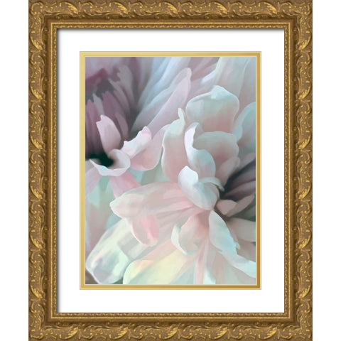 Chrysanthemum XII Gold Ornate Wood Framed Art Print with Double Matting by Pollard, David