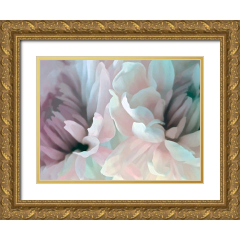 Chrysanthemum XIII Gold Ornate Wood Framed Art Print with Double Matting by Pollard, David