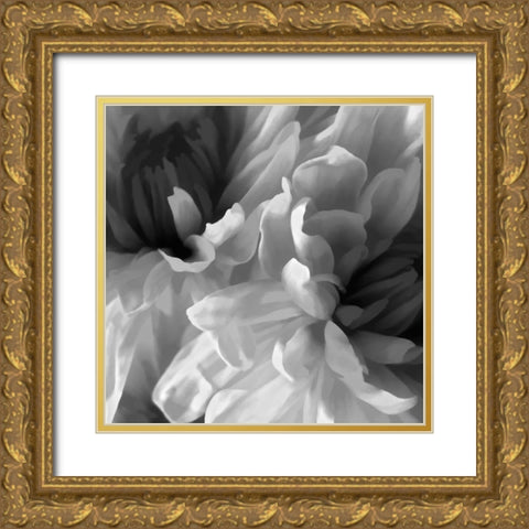 Chrysanthemum XVII Gold Ornate Wood Framed Art Print with Double Matting by Pollard, David