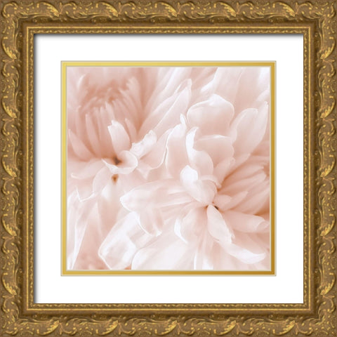 Chrysanthemum Pale Sepia I Gold Ornate Wood Framed Art Print with Double Matting by Pollard, David