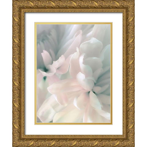 Chrysanthemum Pink and Cyan II Gold Ornate Wood Framed Art Print with Double Matting by Pollard, David