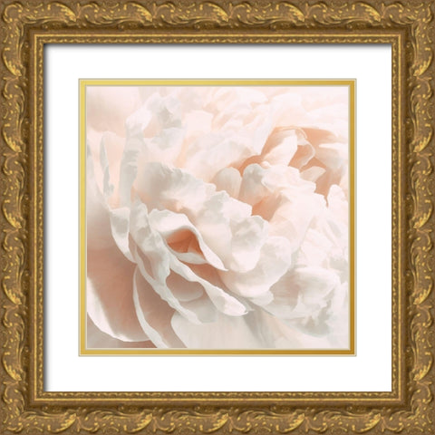 Peony Pale Sepia I Gold Ornate Wood Framed Art Print with Double Matting by Pollard, David
