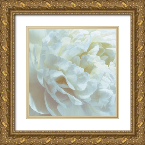 Peony Pale Yellow Blush I Gold Ornate Wood Framed Art Print with Double Matting by Pollard, David
