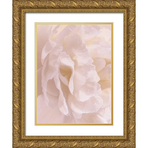 Peony Peaches and Cream II Gold Ornate Wood Framed Art Print with Double Matting by Pollard, David