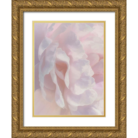 Peony Pink Blush II Gold Ornate Wood Framed Art Print with Double Matting by Pollard, David