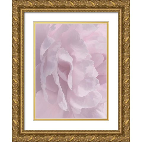 Peony Pink II Gold Ornate Wood Framed Art Print with Double Matting by Pollard, David