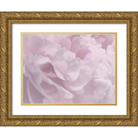 Peony Pink III Gold Ornate Wood Framed Art Print with Double Matting by Pollard, David