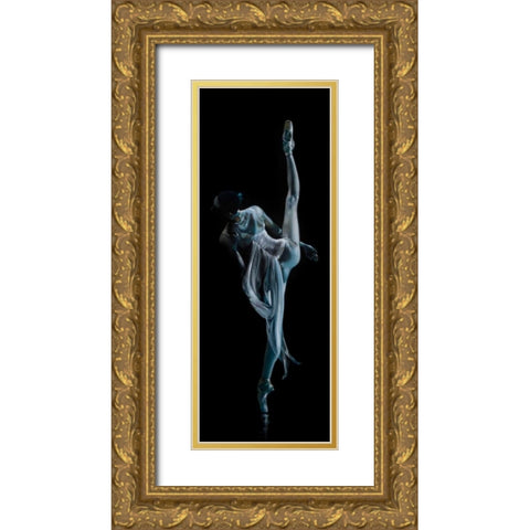 Night Shadow Gold Ornate Wood Framed Art Print with Double Matting by Di Scenza, Ron