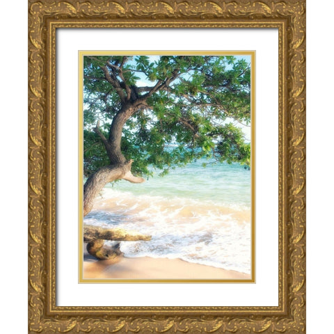 USA, Hawaii, Kauai Gold Ornate Wood Framed Art Print with Double Matting by Plank, Savanah