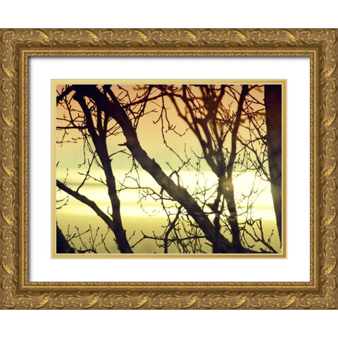 Aspen Sunset Gold Ornate Wood Framed Art Print with Double Matting by Plank, Savanah
