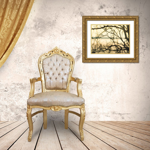 Aspen Sunset Gold Ornate Wood Framed Art Print with Double Matting by Plank, Savanah
